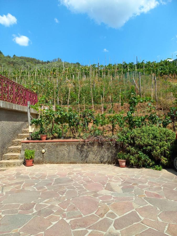 Villa Ester Camaiore Exteriér fotografie